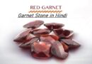 Garnet Stone in Hindi