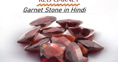 Garnet Stone in Hindi